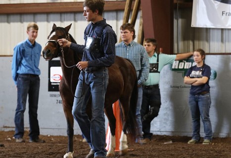 RHS FFA Member Showing a Horse