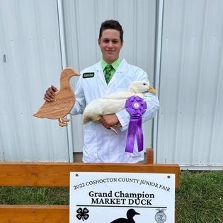 FFA student at Coshocton County fair holding the Grand Champion duck.