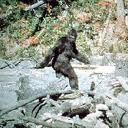 Does bigfoot exist?